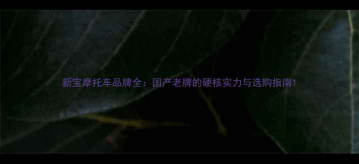 图片 新宝摩托车品牌全：国产老牌的硬核实力与选购指南1