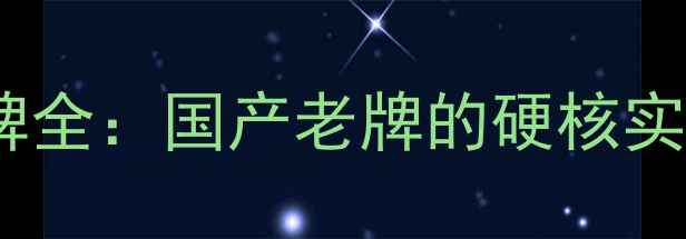图片 新宝摩托车品牌全：国产老牌的硬核实力与选购指南2