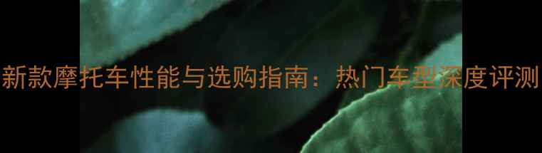 图片 新款摩托车性能与选购指南：热门车型深度评测