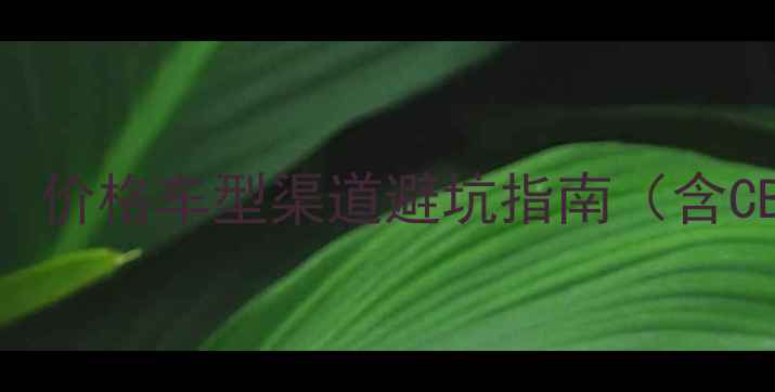 图片 本田摩托跑车购买全攻略：价格车型渠道避坑指南（含CBR500RNSR300等热门款）2