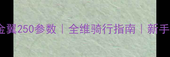 图片 本田金翼250参数｜全维骑行指南｜新手必看1
