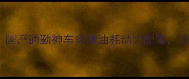 图片 款BN302深度测评：国产通勤神车实测油耗动力配置，价格亲民值得入手？