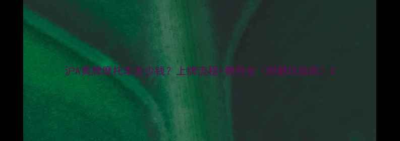 图片 沪A黄牌摩托车多少钱？上牌流程+费用全（附避坑指南）2