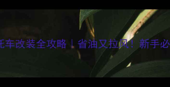 图片 油电混合摩托车改装全攻略｜省油又拉风！新手必看改装教程1