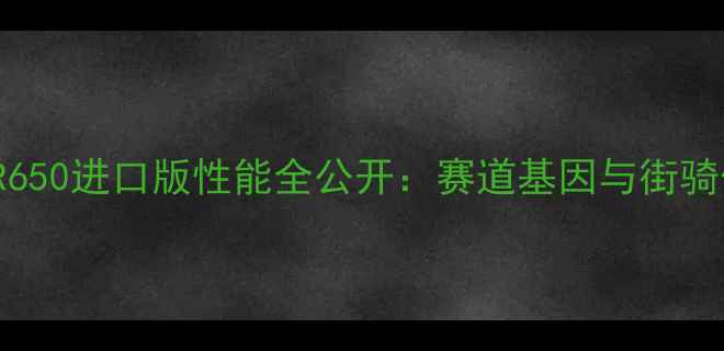 图片 深度宝马S1000RR650进口版性能全公开：赛道基因与街骑体验的完美平衡1