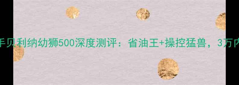 图片 爆款！二手贝利纳幼狮500深度测评：省油王+操控猛兽，3万内闭眼入？