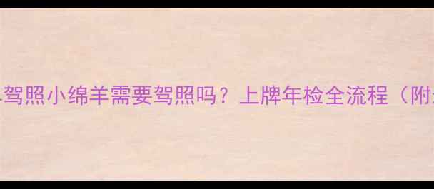 图片 电动摩托车驾照小绵羊需要驾照吗？上牌年检全流程（附最新政策）