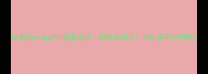 图片 维斯帕Vespa950深度测评：哪款值得买？对比雅马哈川崎2