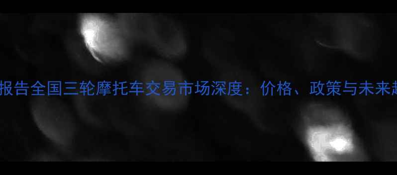 图片 行业报告全国三轮摩托车交易市场深度：价格、政策与未来趋势2
