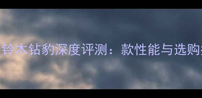 图片 豪爵铃木钻豹深度评测：款性能与选购指南