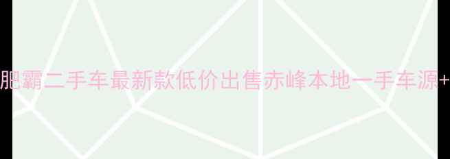 图片 赤峰哈雷肥霸二手车最新款低价出售赤峰本地一手车源+质保服务