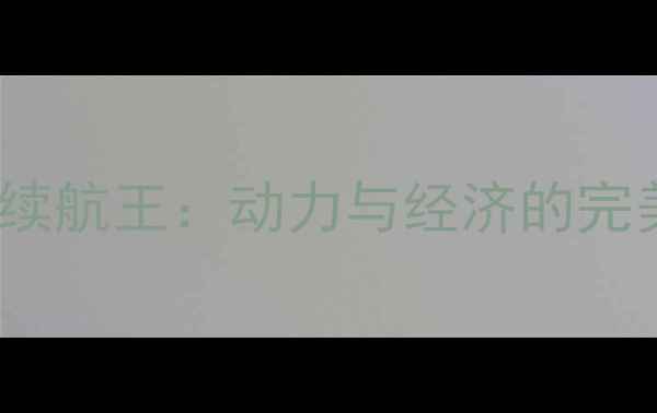 图片 钱江摩托15019G新国标续航王：动力与经济的完美平衡，城市通勤首选2