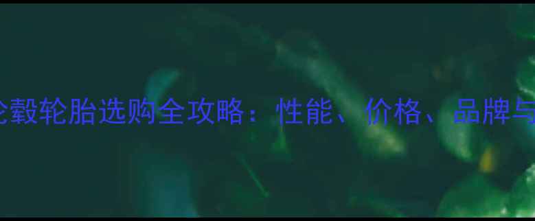 图片 钱江龙摩托车轮毂轮胎选购全攻略：性能、价格、品牌与用户真实评价1