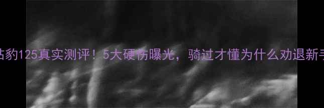 图片 钻豹125真实测评！5大硬伤曝光，骑过才懂为什么劝退新手