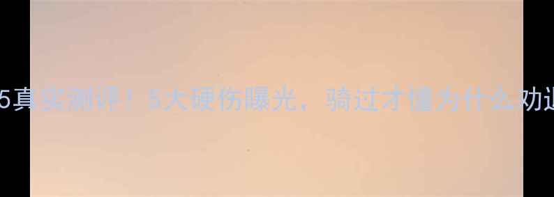 图片 钻豹125真实测评！5大硬伤曝光，骑过才懂为什么劝退新手1