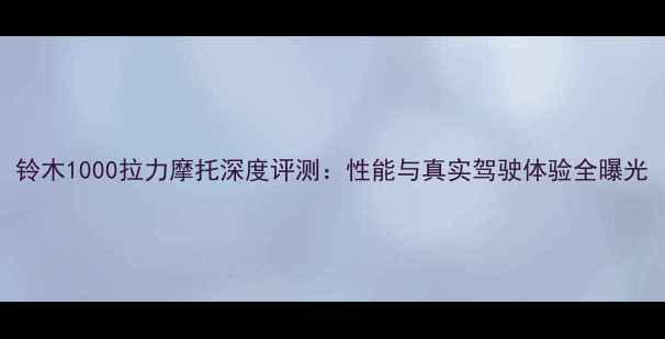 图片 铃木1000拉力摩托深度评测：性能与真实驾驶体验全曝光