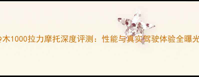 图片 铃木1000拉力摩托深度评测：性能与真实驾驶体验全曝光2
