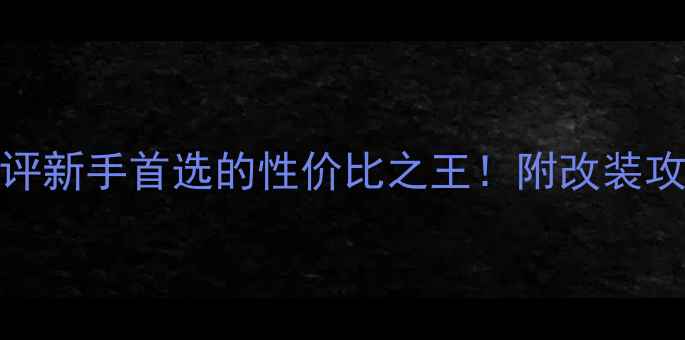 图片 铃木DL250深度测评新手首选的性价比之王！附改装攻略+真实车主口碑