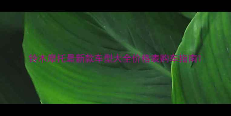 图片 铃木摩托最新款车型大全价格表购车指南1