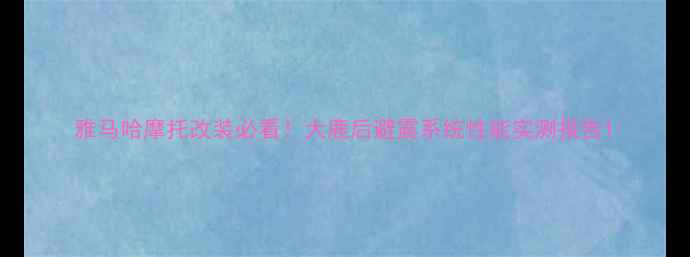 图片 雅马哈摩托改装必看！大鹿后避震系统性能实测报告1