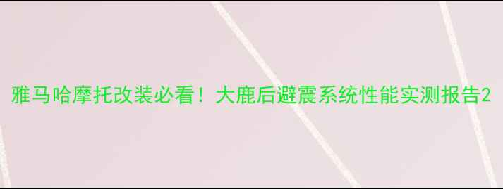 图片 雅马哈摩托改装必看！大鹿后避震系统性能实测报告2