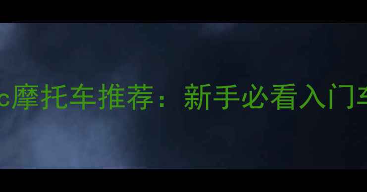 图片 高性价比125cc摩托车推荐：新手必看入门车型选购指南2