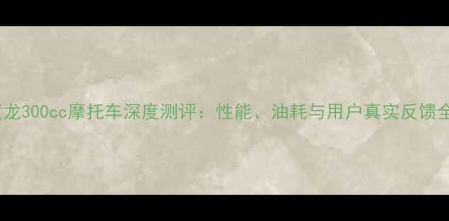 图片 黄龙300cc摩托车深度测评：性能、油耗与用户真实反馈全2