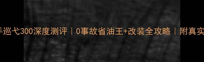 图片 🔥18年二手巡弋300深度测评｜0事故省油王+改装全攻略｜附真实保养记录1