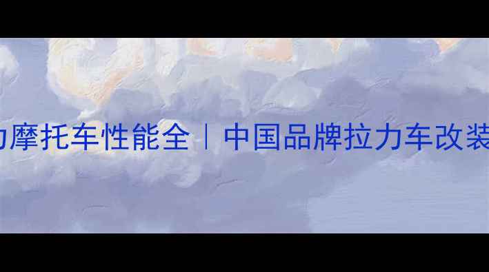 图片 🔥合资拉力摩托车性能全｜中国品牌拉力车改装使用指南1