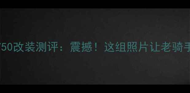 图片 🔥哈雷戴维森750改装测评：震撼！这组照片让老骑手都直呼绝了🔥