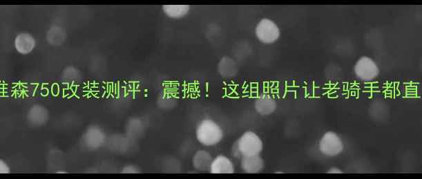 图片 🔥哈雷戴维森750改装测评：震撼！这组照片让老骑手都直呼绝了🔥1