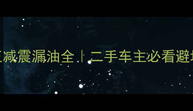 图片 🔥天剑王减震漏油全｜二手车主必看避坑指南🔥