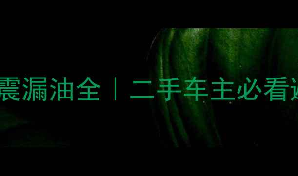 图片 🔥天剑王减震漏油全｜二手车主必看避坑指南🔥1