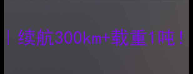 图片 🔥宗申三轮电动车深度测评｜续航300km+载重1吨！农村货运家庭代步首选车型