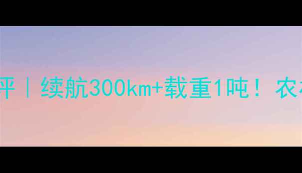图片 🔥宗申三轮电动车深度测评｜续航300km+载重1吨！农村货运家庭代步首选车型2