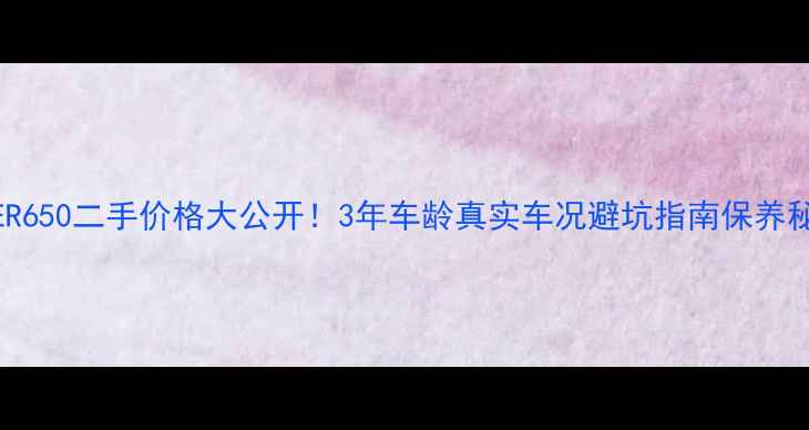 图片 🔥川崎ER650二手价格大公开！3年车龄真实车况避坑指南保养秘籍全🔥