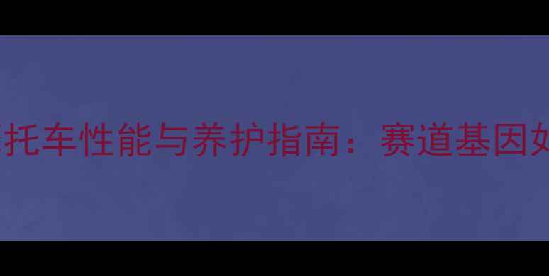 图片 🔥度必看！Ducati摩托车性能与养护指南：赛道基因如何成就街道传奇？1