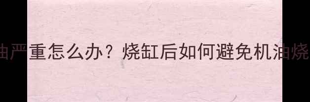 图片 🔥摩托车烧机油严重怎么办？烧缸后如何避免机油烧毁发动机全🔥2