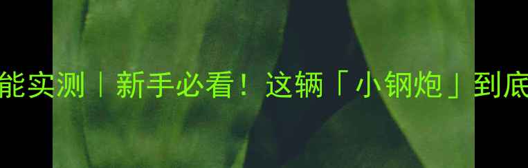 图片 🔥春风250性能实测｜新手必看！这辆「小钢炮」到底值不值5万？