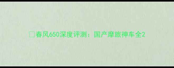 图片 🚗春风650深度评测：国产摩旅神车全2