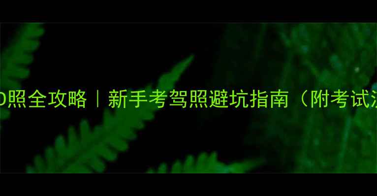 图片 🚗💨二轮摩托车D照全攻略｜新手考驾照避坑指南（附考试流程+备考资料）